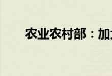 农业农村部：加大力度继续扩种油菜