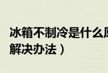 冰箱不制冷是什么原因（夏天你不得不知道的解决办法）