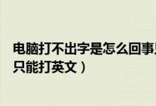 电脑打不出字是怎么回事只能打英文（我的电脑打字打不出只能打英文）