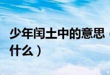 少年闰土中的意思（少年闰土中便是的意思是什么）