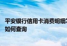 平安银行信用卡消费明细怎么查 平安银行信用卡的消费账单如何查询