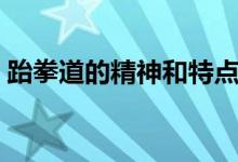 跆拳道的精神和特点（跆拳道的精神及意义）