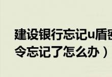 建设银行忘记u盾密码怎么修改（建行u盾口令忘记了怎么办）