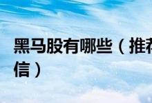 黑马股有哪些（推荐短线黑马股的公司能否相信）