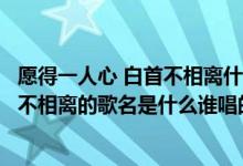愿得一人心 白首不相离什么歌名（歌词：只愿得一人心白首不相离的歌名是什么谁唱的）