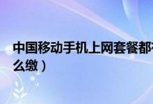 中国移动手机上网套餐都有哪些（中国移动手机上网套餐怎么缴）