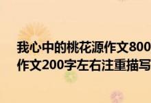 我心中的桃花源作文800字记叙文（《我心目中的桃花源》作文200字左右注重描写！）