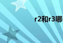 r2和r3哪个风险等级高