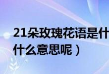 21朵玫瑰花语是什么意思（21朵玫瑰花语是什么意思呢）