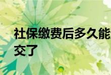 社保缴费后多久能查到 社保交多少年就不用交了 