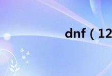 dnf（12垫子多少钱）