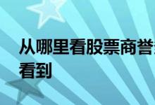 从哪里看股票商誉多少 股票商誉在哪里可以看到