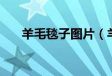 羊毛毯子图片（羊毛毯子是怎么样的）