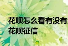 花呗怎么看有没有纳入征信 请问怎么才能看花呗征信