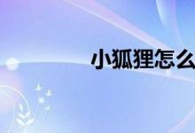 小狐狸怎么画（小狐分期）