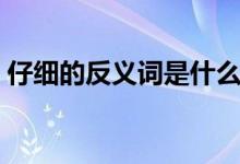 仔细的反义词是什么二年级（仔细的反义词）
