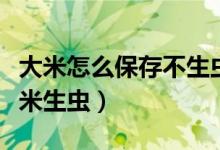大米怎么保存不生虫子（教你几招轻松预防大米生虫）