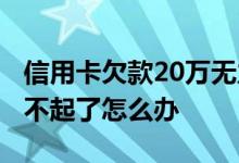 信用卡欠款20万无力偿还 信用卡欠款20万还不起了怎么办