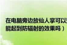 在电脑旁边放仙人掌可以预防辐射吗（在电脑前放仙人掌球能起到防辐射的效果吗）