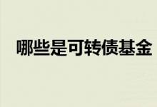 哪些是可转债基金 可转债是基金的一种么