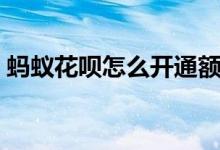 蚂蚁花呗怎么开通额度（蚂蚁花呗怎么开通）