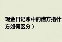 现金日记账中的借方指什么（出纳现金日记账中的贷方和借方如何区分）