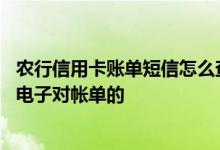 农行信用卡账单短信怎么查询 农行官网到底在哪看信用卡的电子对帐单的
