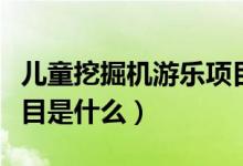 儿童挖掘机游乐项目视频（儿童挖掘机游乐项目是什么）