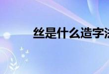 丝是什么造字法（丝是什么意思）