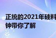 正统的2021年硅料概念龙头股出炉(名单)5分钟带你了解