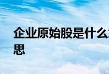 企业原始股是什么意思 企业原始股是什么意思 