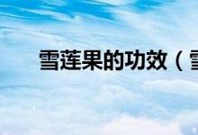 雪莲果的功效（雪莲果的功效与作用）