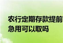 农行定期存款提前可以取吗 农行定期存款后急用可以取吗