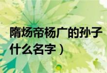 隋炀帝杨广的孙子（隋炀帝杨广有几个女儿叫什么名字）