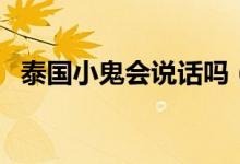 泰国小鬼会说话吗（泰国小鬼真的很灵吗）