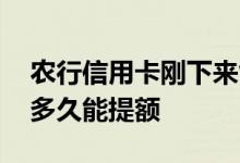 农行信用卡刚下来能提额吗 使用农行信用卡多久能提额