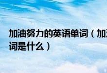 加油努力的英语单词（加油的英文单词是什么努力的英文单词是什么）