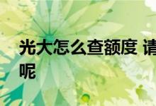 光大怎么查额度 请问光大没下卡怎么查额度呢