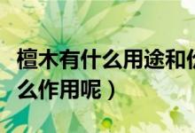 檀木有什么用途和价值（不同的檀木分别有什么作用呢）