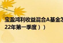 宝盈鸿利收益混合A基金怎么样（基金持仓了哪些债券 （2022年第一季度））