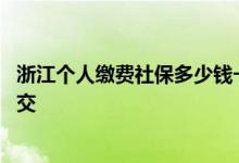 浙江个人缴费社保多少钱一个月 浙江社保个人缴费应该怎么交 