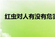 红虫对人有没有危害（血红虫对人有害吗）