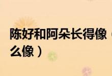 陈好和阿朵长得像（陈好和阿朵为什么长的那么像）