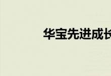 华宝先进成长混合基金怎么样