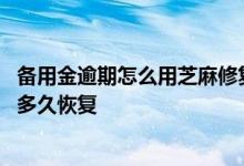 备用金逾期怎么用芝麻修复芝麻粒不够 芝麻粒修复了备用金多久恢复
