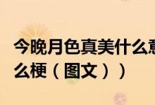今晚月色真美什么意思日语（今晚月色真美什么梗（图文））