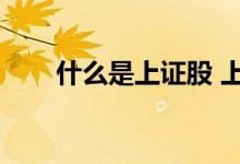 什么是上证股 上证ab股是什么意思 