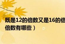 既是12的倍数又是16的倍数有哪些（既是16的倍数又是2的倍数有哪些）