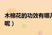 木棉花的功效有哪几种（木棉花的功效有哪些呢）