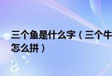 三个鱼是什么字（三个牛是什么字 三个羊是什么字 拼音都怎么拼）